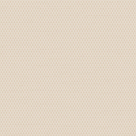 Dutch Wallcoverings Tapestry TP422803 Loop Beige Behang