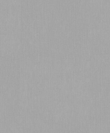 BN Wallcoverings Monochrome 221419 Grijs Behang