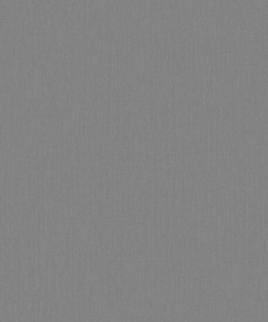 BN Wallcoverings Monochrome 221420 Grijs Behang