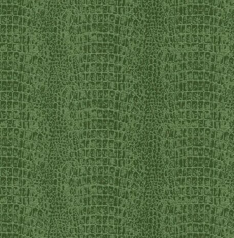 Dutch First Class Amazon River AR9907 Groen Behang