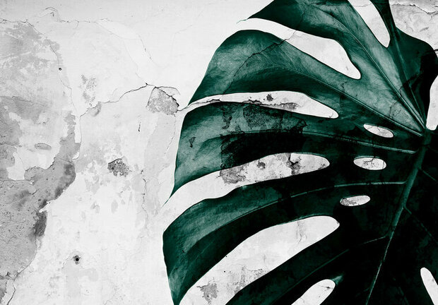 FBK Monstera Fotobehang 13516 Behang