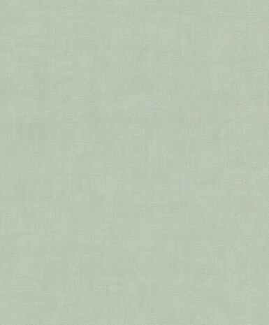 Rasch Selection - 489651 Groen Behang
