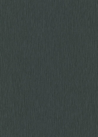 Dutch Wall Decor Fashion For Walls 4 10376-15 Zwart Behang