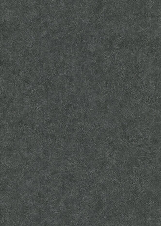 Dutch Wall Decor Fashion For Walls 4 10377-15 Zwart Behang