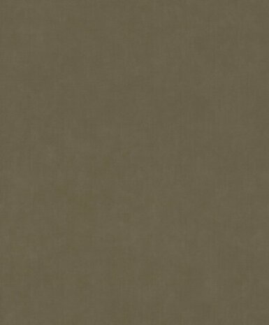 Rasch Paraiso - 330120 Groen Behang