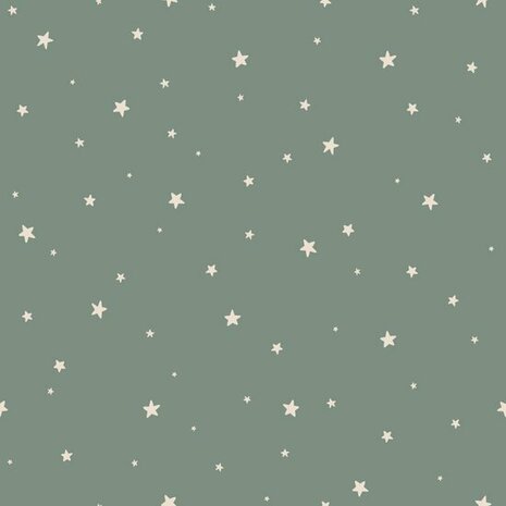 Esta Home Sterren 139689 Groen Blauw Behang
