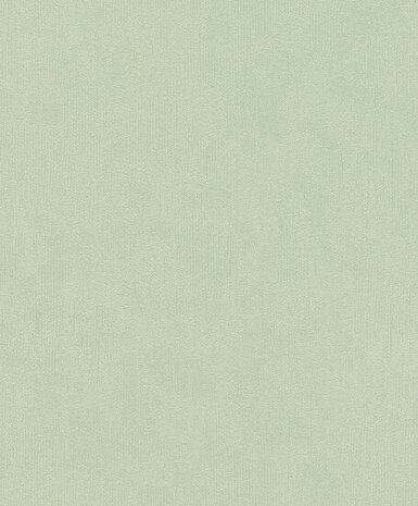 Rasch Deco Style 415377 Groen Behang