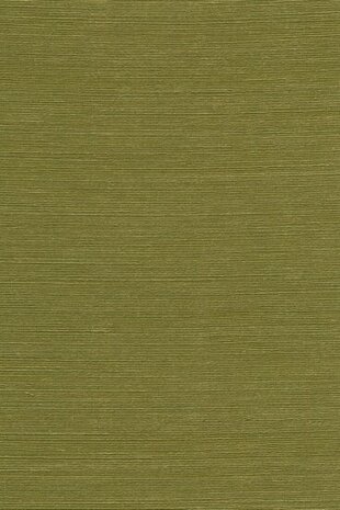 Arte Boutique Agave 90531 Groen Behang