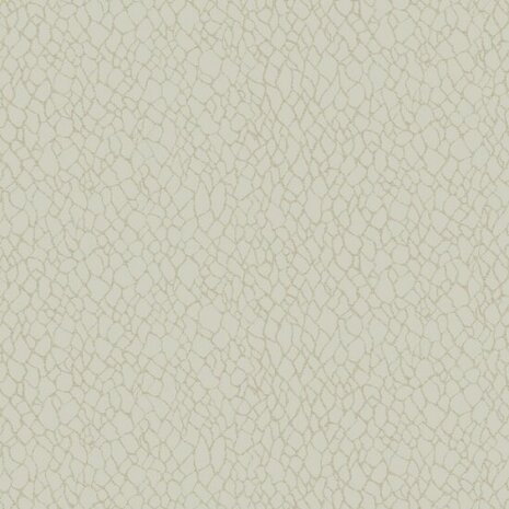 Noordwand Boutique DWP0232-01 Beige Metallic Behang