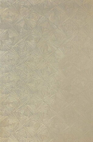 Casamance Nature Précieuse - Textures 76522548 - Beige / Metallic Goud Behang