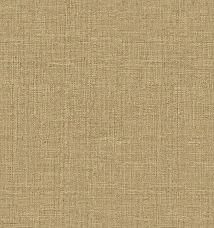 Arte Intuition PEERLESS INT243 Beige Behang
