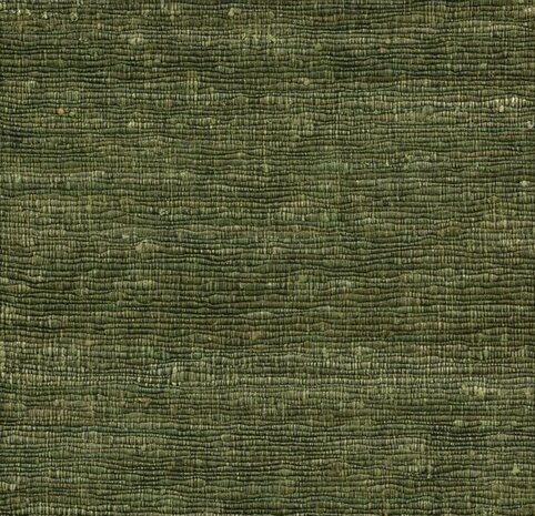 Arte Wild Silk KATIA SILK 86503 Groen Behang