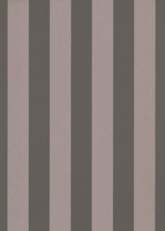 Dutch Wall Decor 4 Earth 10361-48 / 5021036148 Grijs / Metallic Zilver Behang