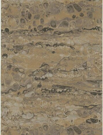 Dutch First Class Fusione 73519 Goud Behang