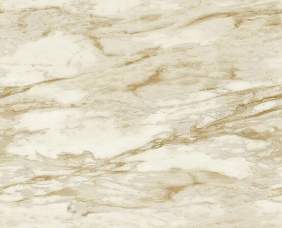 Dutch First Class Roberto Cavalli 9 21024 - Beige Behang