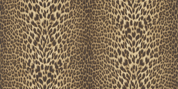 Dutch First Class Roberto Cavalli 9 21041 - Bruin Behang