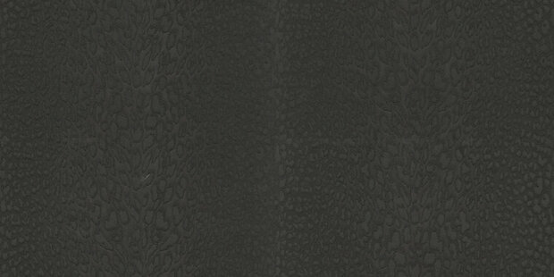 Dutch First Class Roberto Cavalli 9 21044 - Zwart Behang