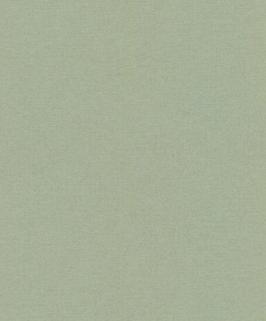 Rasch Schöner Wohnen Cosy Living 600285 Groen Behang