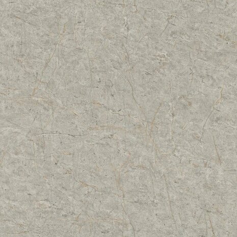 Rasch Schöner Wohnen Cosy Living 600988 Grijs Behang