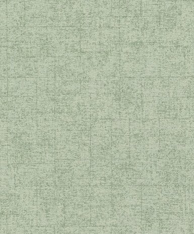 Rasch Tapetenwechsel II 507843 Groen Behang