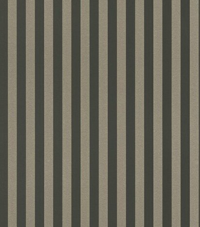 Rasch Trianon XIII 570335 Metallic Zilver / Zwart Behang