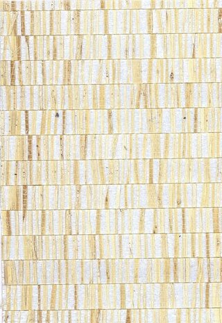 Arte ALL NATURALS FRINGE 40320A Crème / ZilverBehang