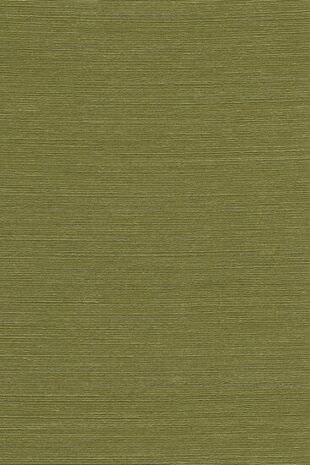 Arte ALL NATURALS AGAVE 90531A Groen Behang
