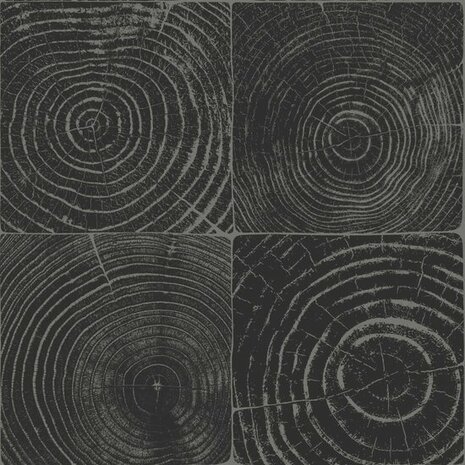 Origin Wallcoverings Matières 347544 - Zwart / zilver Behang