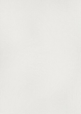 Dutch Wall Decor Spotlight 2 10403-01 / 1040301 Behang