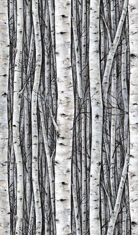 Noordwand Timber 35395 Zwart
