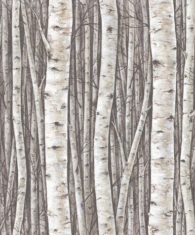 Noordwand Timber 35394 Bruin