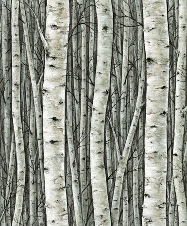 Noordwand Timber 35380 Groen