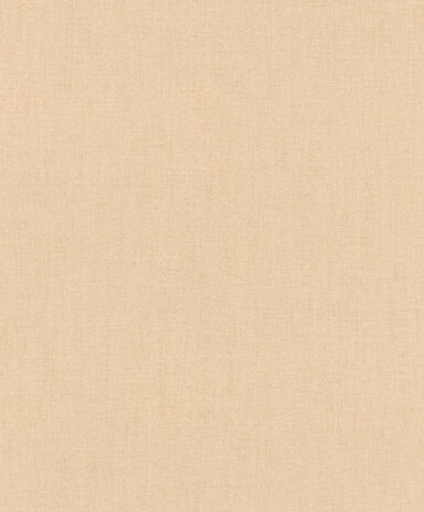Rasch Florentine IV 484779 - Beige