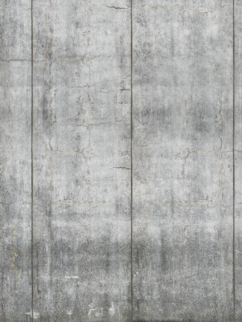 Boråstapeter Studio Cast Concrete 9509W