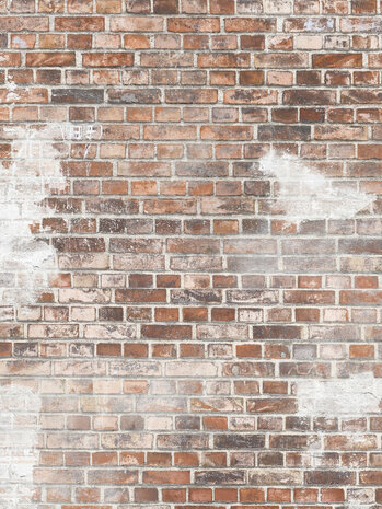 Boråstapeter Studio Weathered Bricks 9534W