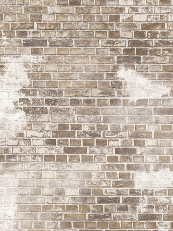 Boråstapeter Studio Weathered Bricks 9535W