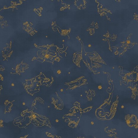 Boråstapeter Studio Constellations 9561W