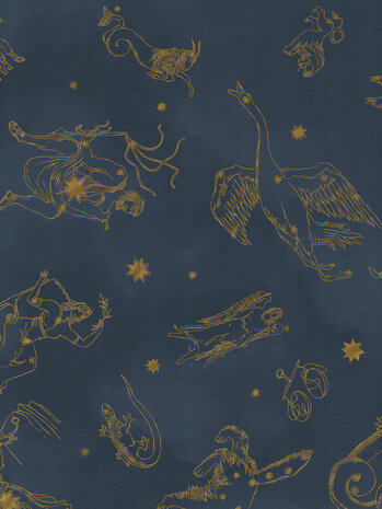 Boråstapeter Studio Constellations 9561W