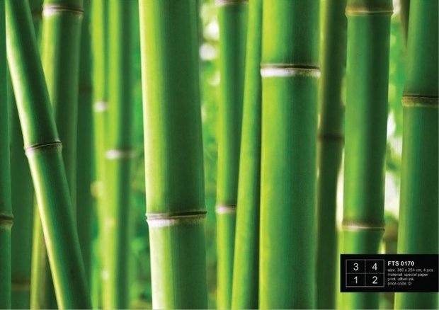 AG Design Fotobehang Bamboe FTS0170
