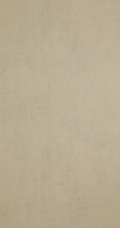 BN Color Stories Chapter Three 218508 - Beige - Bruin