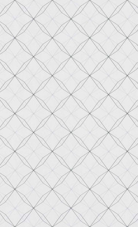BN Wallcoverings Smalltalk 219242 - Zwart - Wit