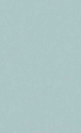BN Wallcoverings Smalltalk 219316 - Blauw