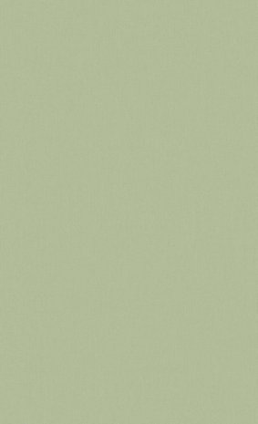 BN Wallcoverings Timeless Stories 219223 - Groen
