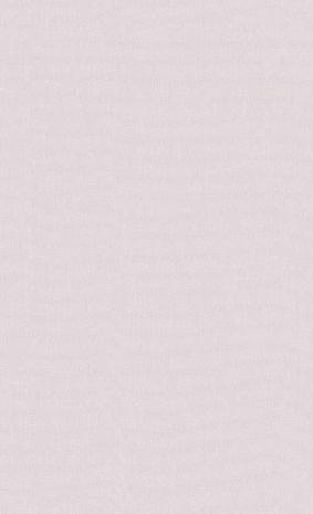 BN Wallcoverings Smalltalk 219221 - Roze