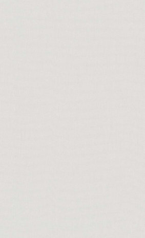 BN Wallcoverings Smalltalk 219215 -off white