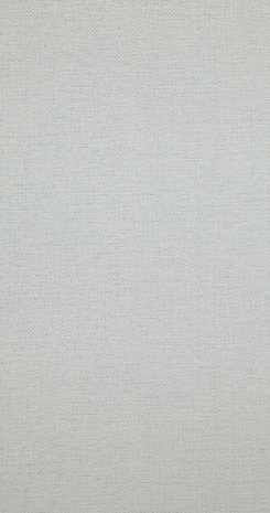 BN Wallcoverings Timeless Stories 218971 - Grijs