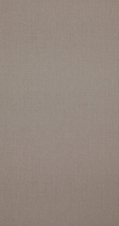 BN Wallcoverings Inspire 218693 - Bruin