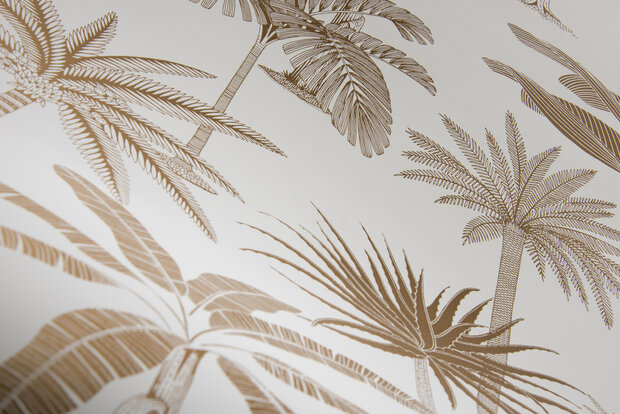 HookedOnWalls Jungle Jive (incl. Gratis Lijm*) 36504