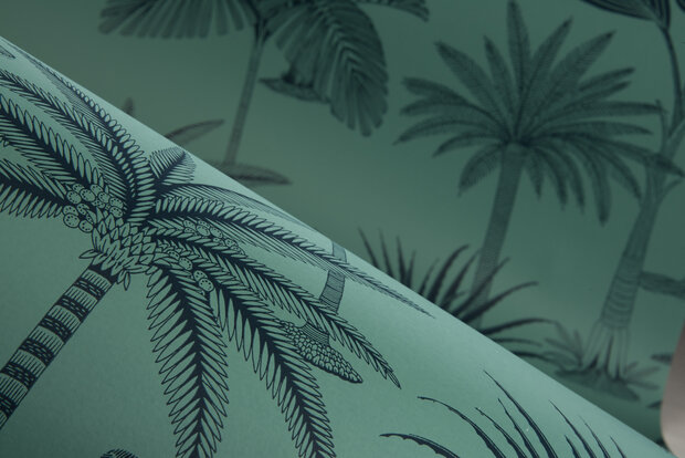 HookedOnWalls Jungle Jive (incl. Gratis Lijm*) 36505