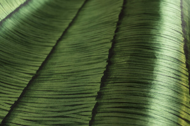 Arte Insolence 34662 (incl. Gratis Lijm*)